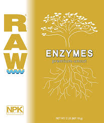 RAW Enzymes 100 г чистые сухие энзимы 100 гр