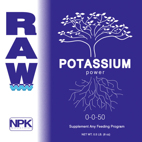 RAW Potassium 100 г сухой концентрированный источник калия 100 гр