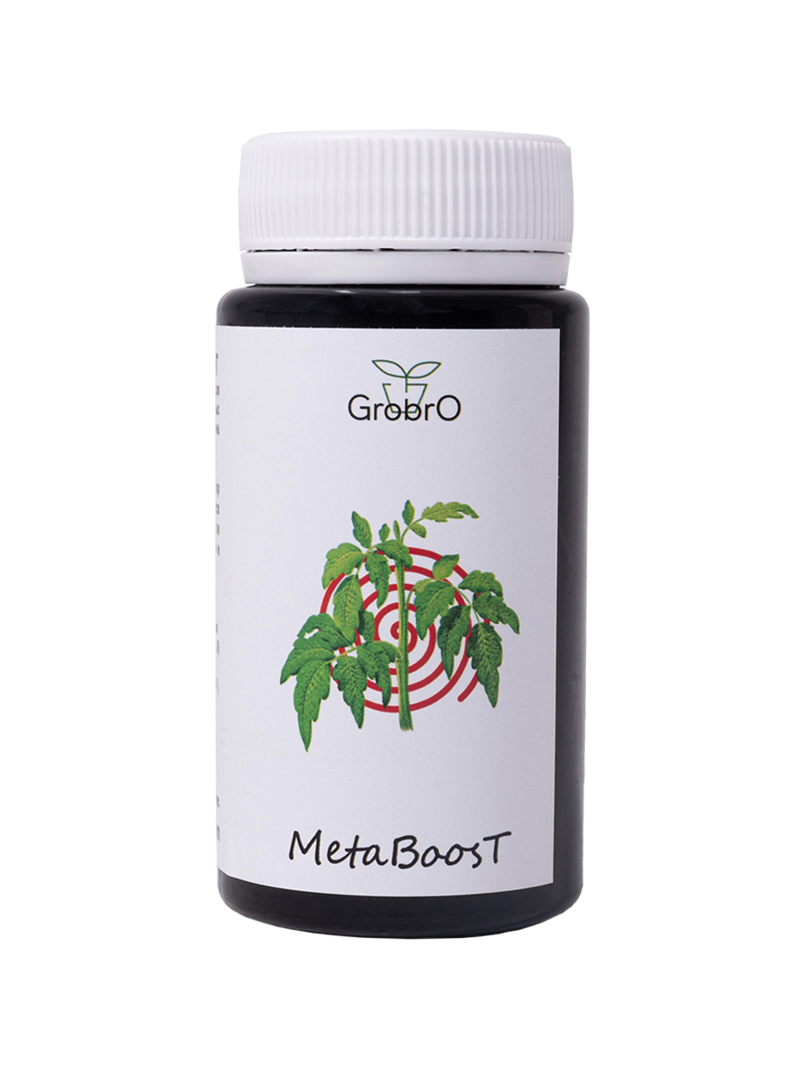 GroBro MetaBoosT 100 мл стимулятор метаболизма 100 мл